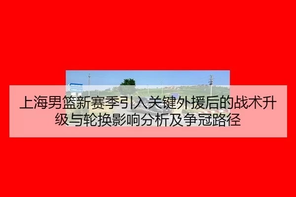 上海男篮新赛季引入关键外援后的战术升级与轮换影响分析及争冠路径