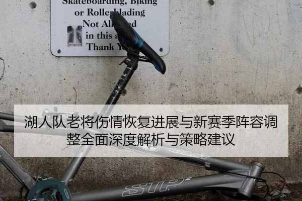 湖人队老将伤情恢复进展与新赛季阵容调整全面深度解析与策略建议