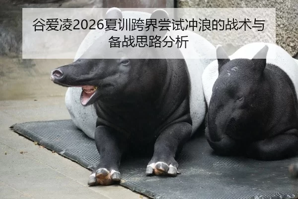 谷爱凌2026夏训跨界尝试冲浪的战术与备战思路分析