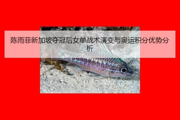 chen-yu-fei-xin-jia-po-duo-guan-hou-nv-dan-zhan-shu-yan-bian-yu-ao-yun-ji-fen-you-shi-fen-xi-2-996.jpg