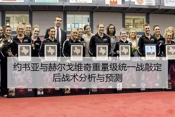 约书亚与赫尔戈维奇重量级统一战敲定后战术分析与预测