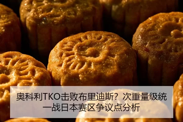 奥科利TKO击败布里迪斯？次重量级统一战日本赛区争议点分析